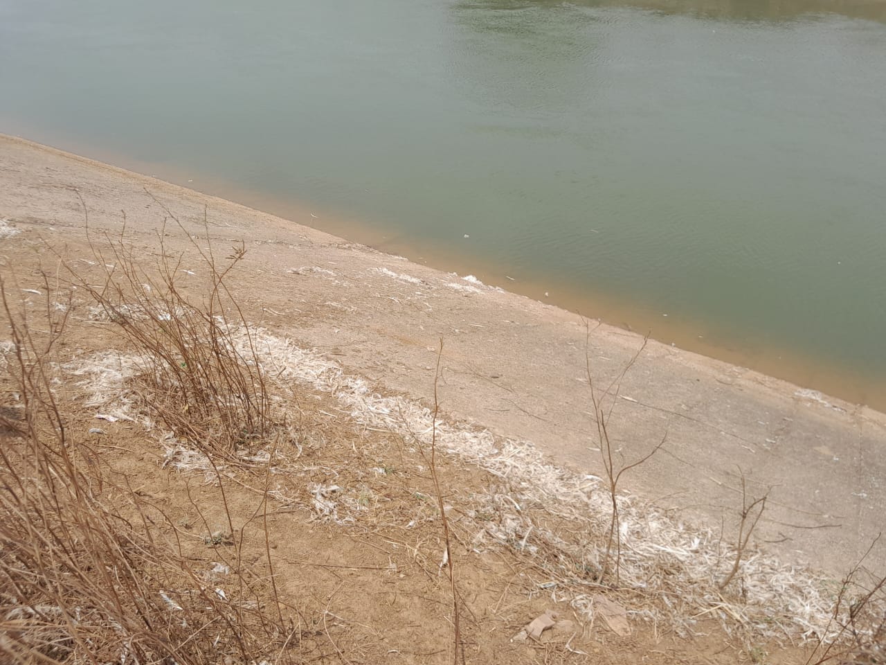 Image Here