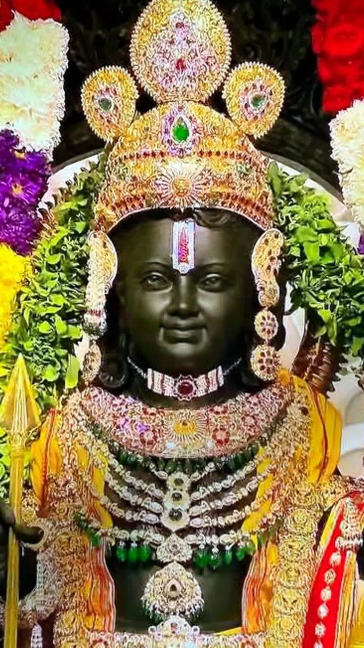 Image Here